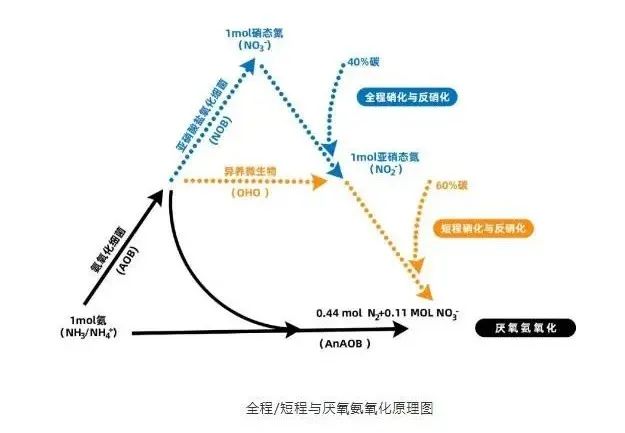 流體展|面對(duì)低濃度氨氮工業(yè)廢水束手無(wú)策?這幾種方法可以解決- 流體展|面對(duì)低濃度氨氮工業(yè)廢水束手無(wú)策?這幾種方法可以解決-